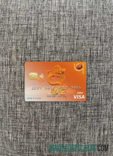 Butão Druk PNB Bank Visa Card Photolook Front exemplo